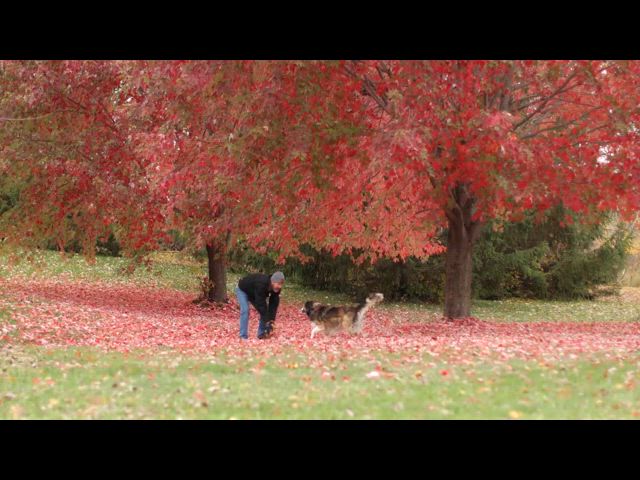 2023 Fall Compilation