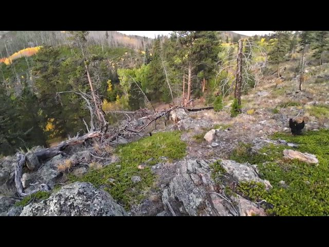 Brian's Colorado Adventure Fall 2024