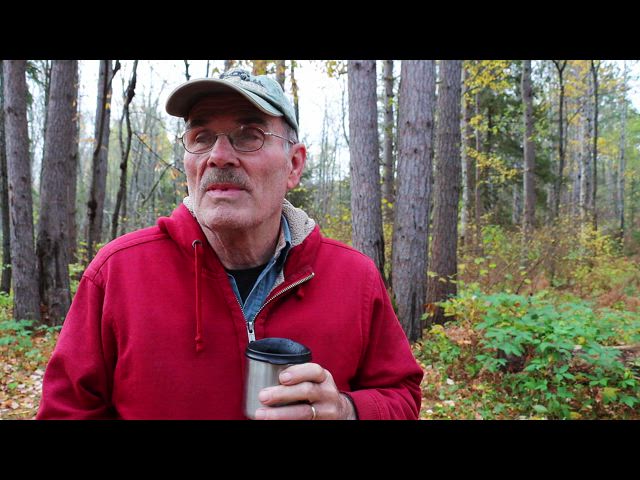 Autumn in the Northern Latitudes (Part 4 of 5) Oct.2020 HD
