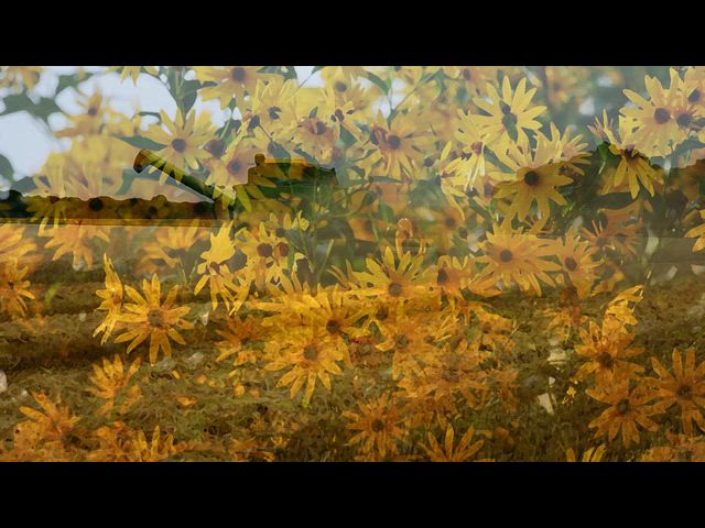 Brushstrokes