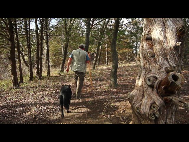 Camping Showreel - 2013