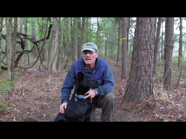 Davy Crockett