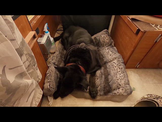 Escaping the Heat - Part 2 of 2 (May 2022) LD