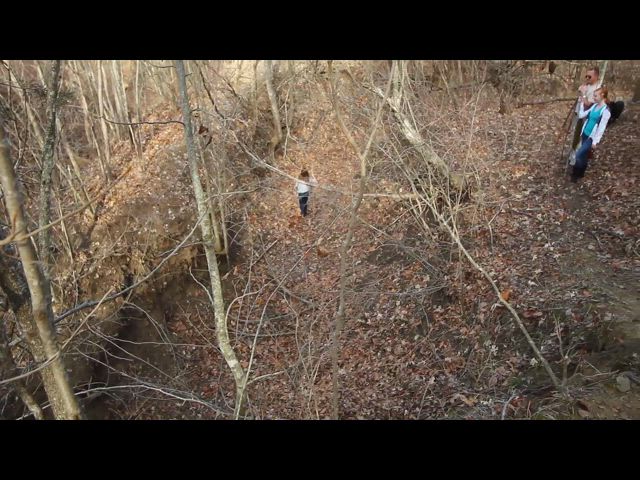 Fun in the Woods (12-2012)
