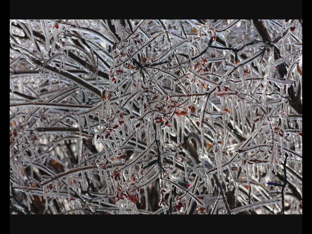 Ice Storm