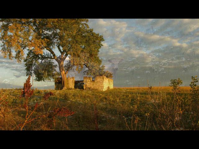 Kansas Reflections