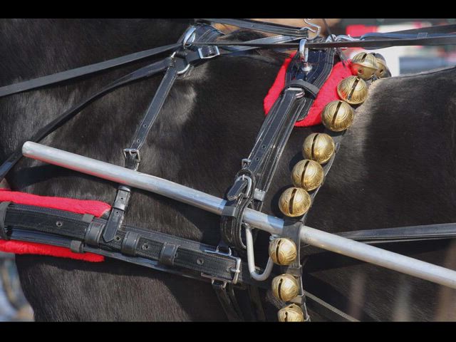 Kenyon Horse Parade