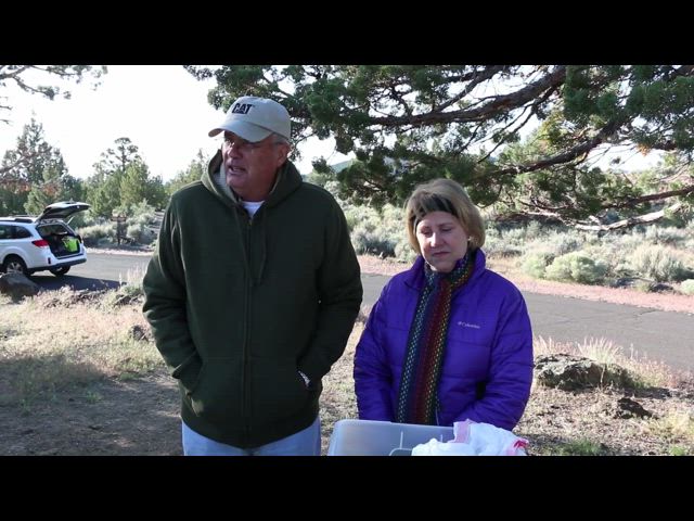 Northern California - 2014, Lava Beds & Redwoods (MV AVC 10M)