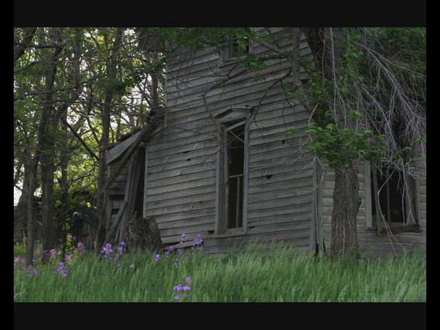 Spring in Kansas