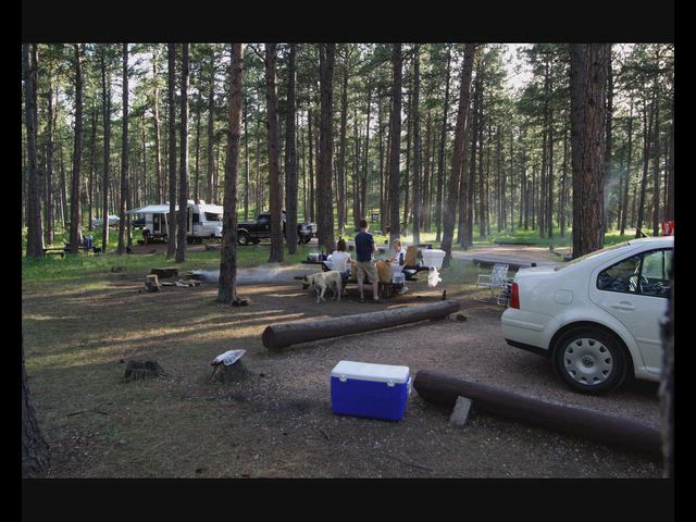 The Blackhills