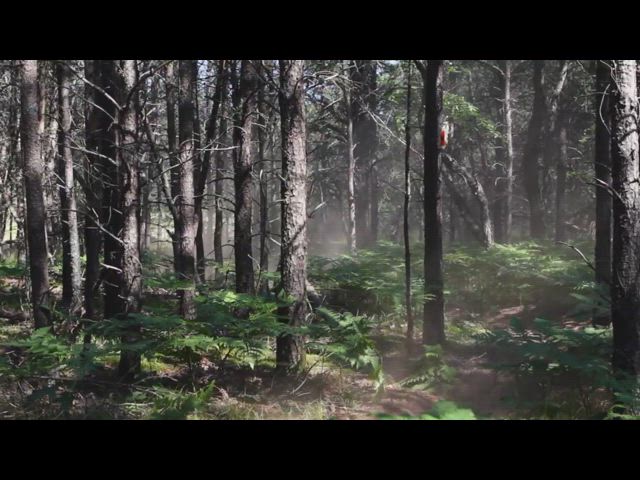 The Jack Pine National Enduro - July 2011