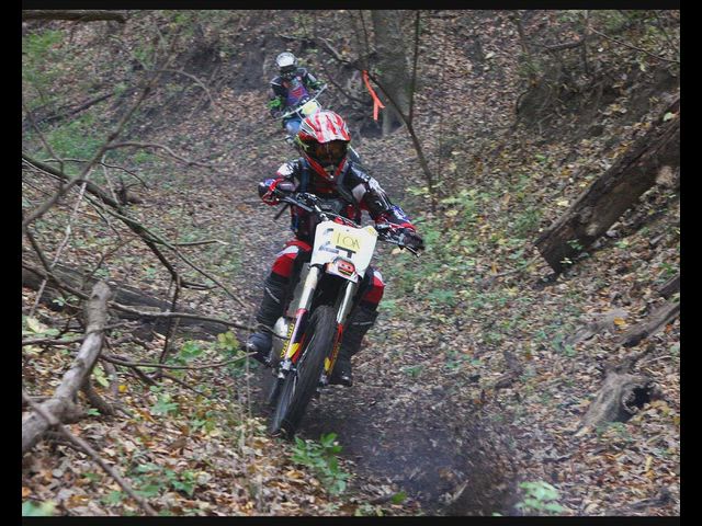 The Race at Bartlet