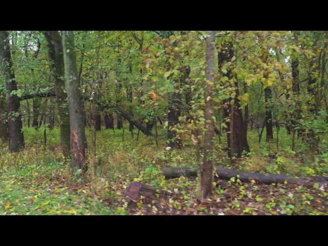 Traveling East - Part 2 of 5 (Nov 2021) (HD)