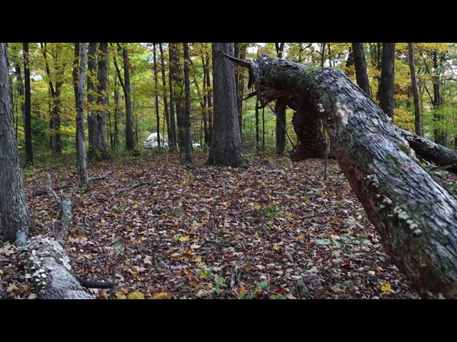 Traveling East - Part 5 of 5 (Nov 2021) (HD)
