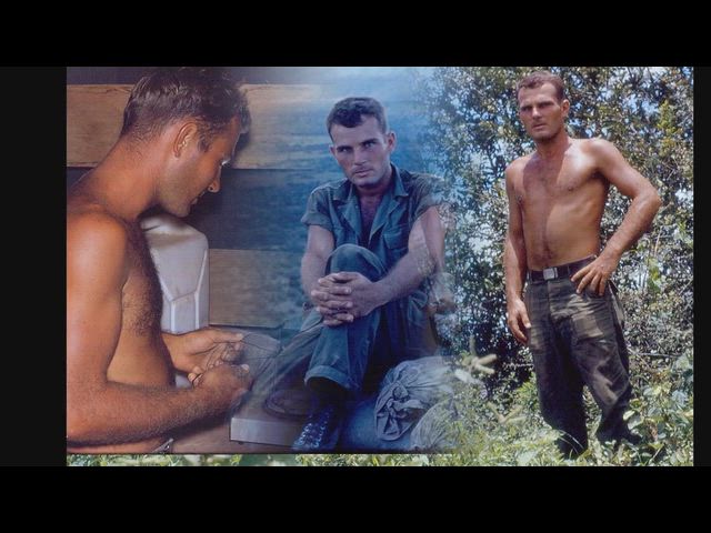 Vietnam Montage